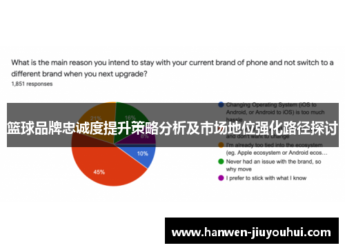 篮球品牌忠诚度提升策略分析及市场地位强化路径探讨 篮球品牌忠诚度提升策略分析及市场地位强化路径探讨