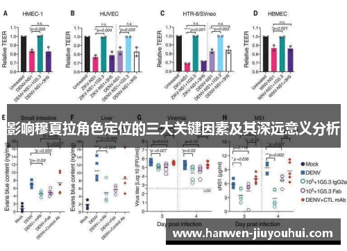 影响穆夏拉角色定位的三大关键因素及其深远意义分析 影响穆夏拉角色定位的三大关键因素及其深远意义分析
